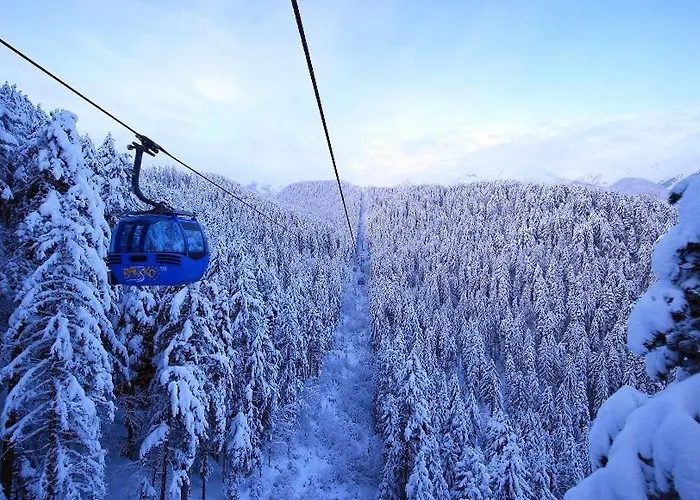 Life Bansko, 1 Bedroom Private D4 *